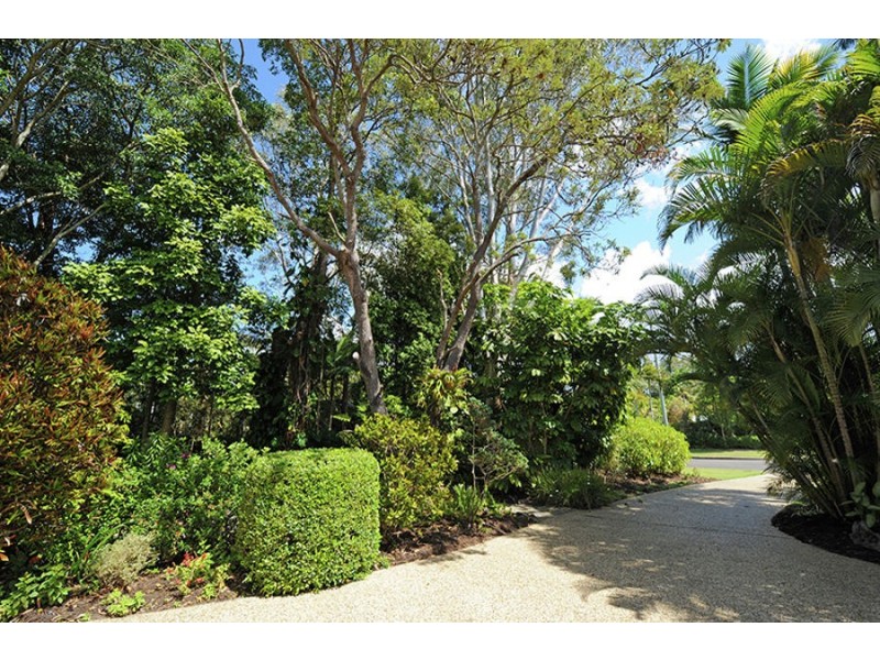50 Casuarina Drive, Little Mountain QLD 4551