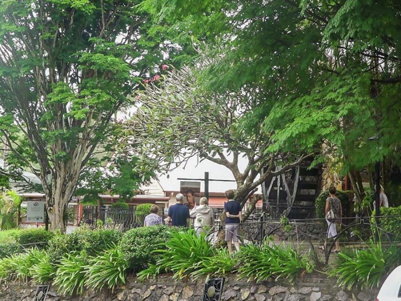 164 Main Street, Montville QLD 4560