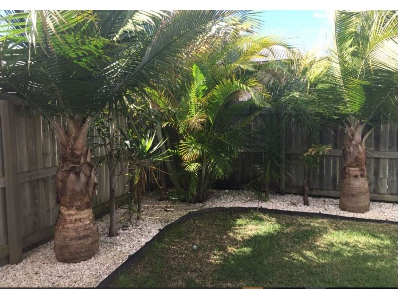 6 Toolona Place, Caloundra West QLD 4551