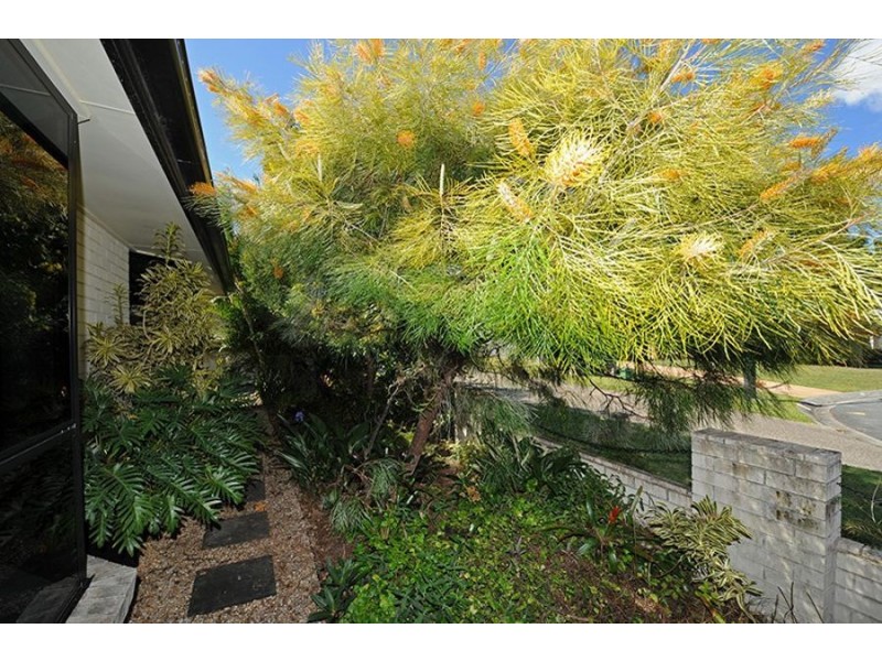 19 King Orchid Drive, Little Mountain QLD 4551