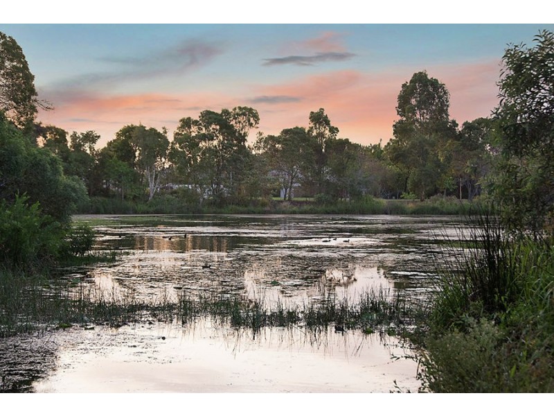 10 Park Hollow Mews, Little Mountain QLD 4551