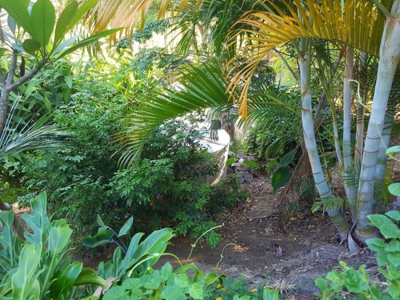 57 Fern Gully Place, Mooloolah Valley QLD 4553