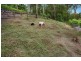 57 Fern Gully Place, Mooloolah Valley QLD 4553
