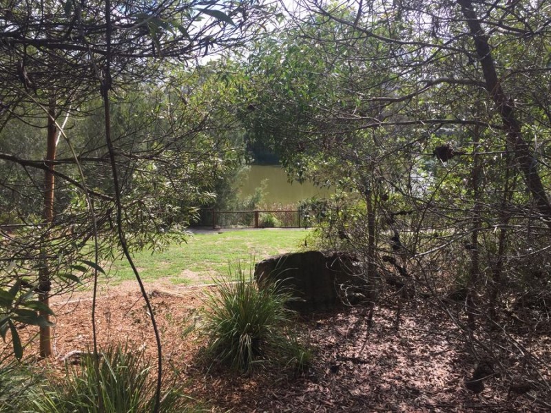 42 High Park Crescent, Little Mountain QLD 4551