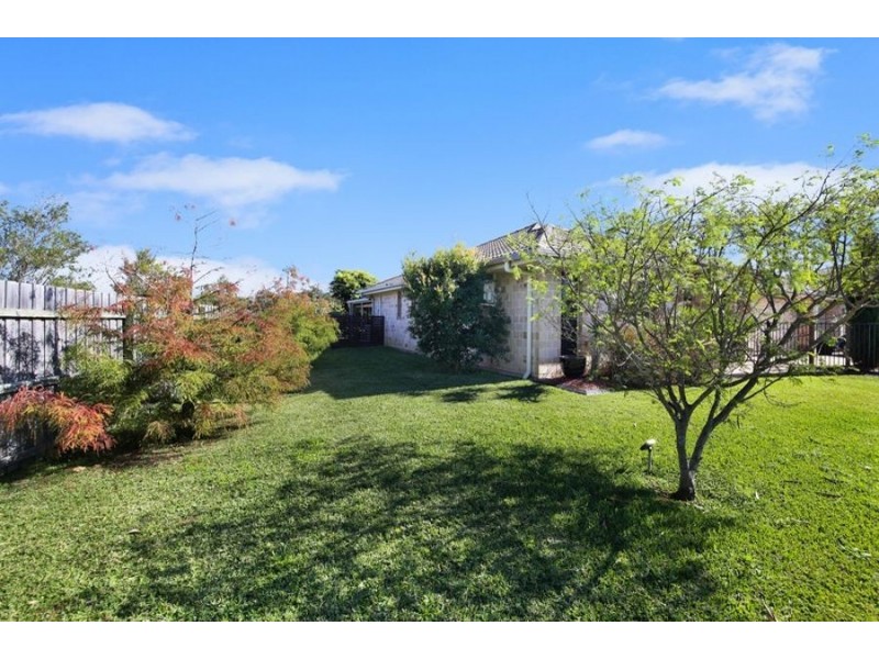 3 Daintree Bvd, Little Mountain QLD 4551