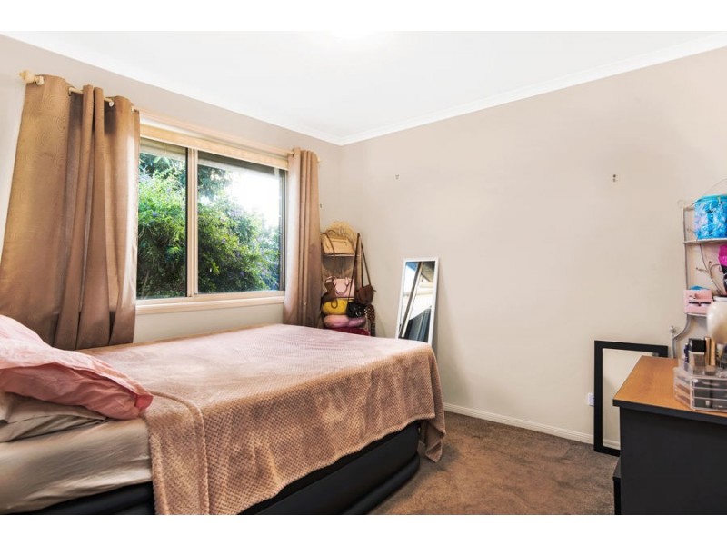 3 Daintree Bvd, Little Mountain QLD 4551