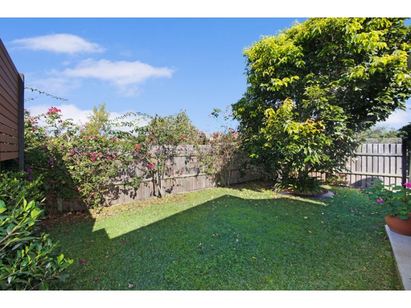 3 Daintree Bvd, Little Mountain QLD 4551