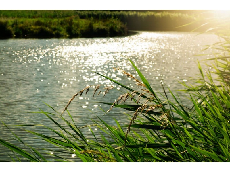 Lot 18 Oakley Creek Road, Foreshore, Coomera QLD 4209