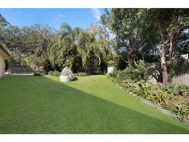 6 Earls Court, Little Mountain QLD 4551