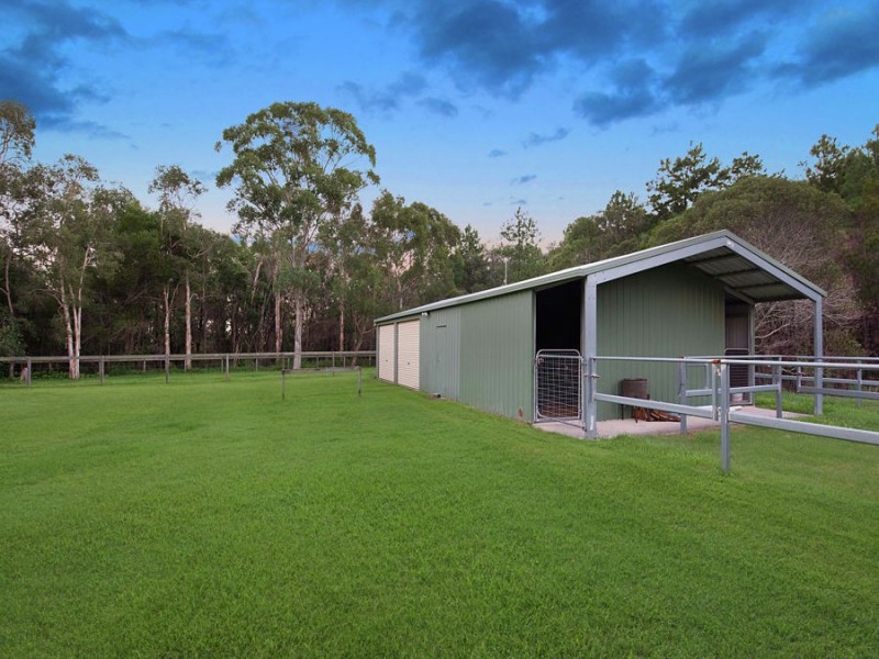 41 Koala Court, Little Mountain QLD 4551