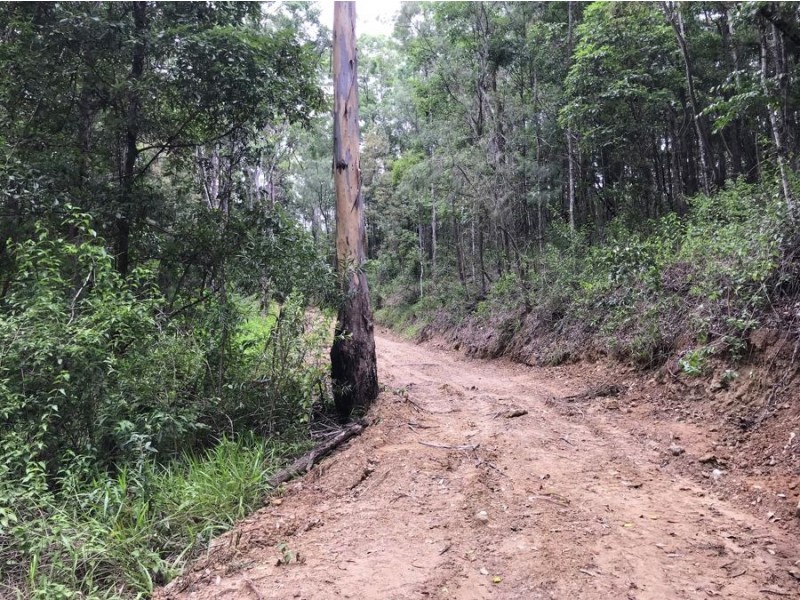 534 Neill Road, Diamond Valley QLD 4553