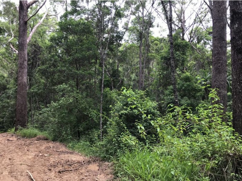 534 Neill Road, Diamond Valley QLD 4553