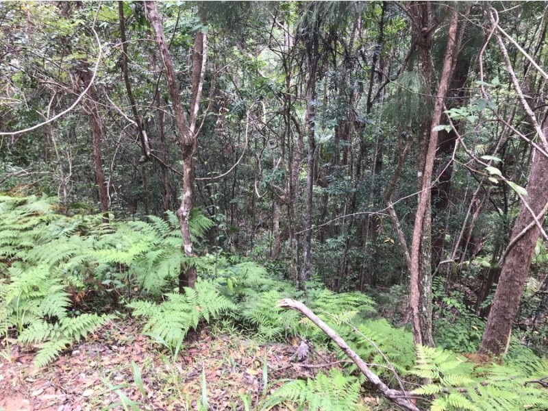 534 Neill Road, Diamond Valley QLD 4553