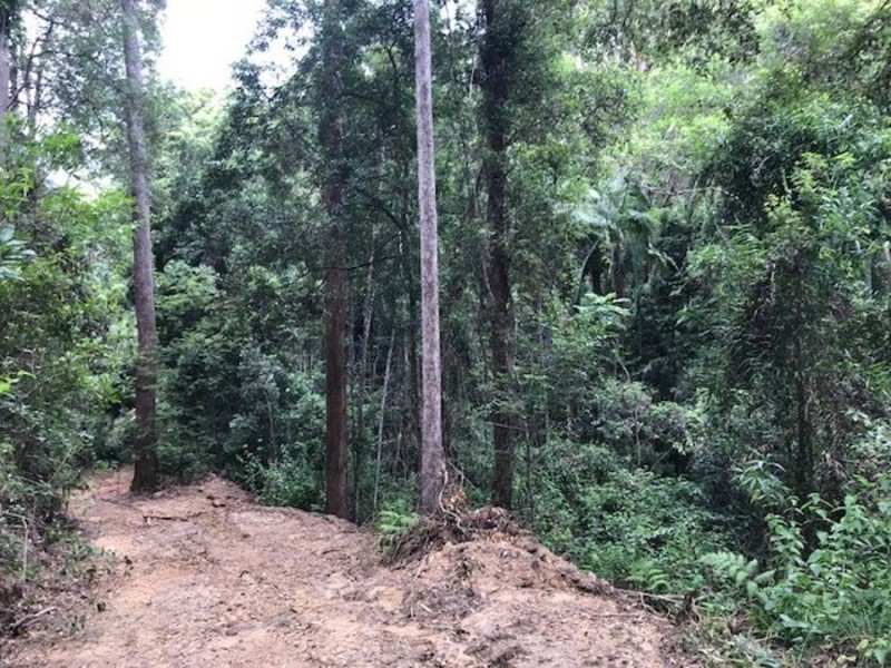 534 Neill Road, Diamond Valley QLD 4553