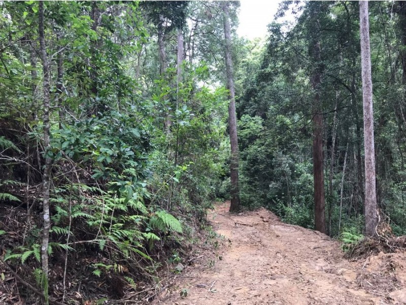 534 Neill Road, Diamond Valley QLD 4553