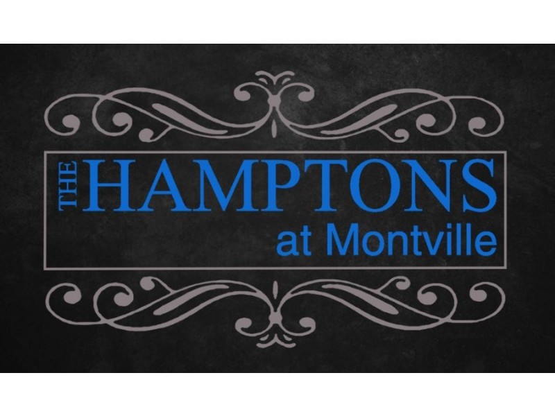 20-23 Hamptons Place, Montville QLD 4560