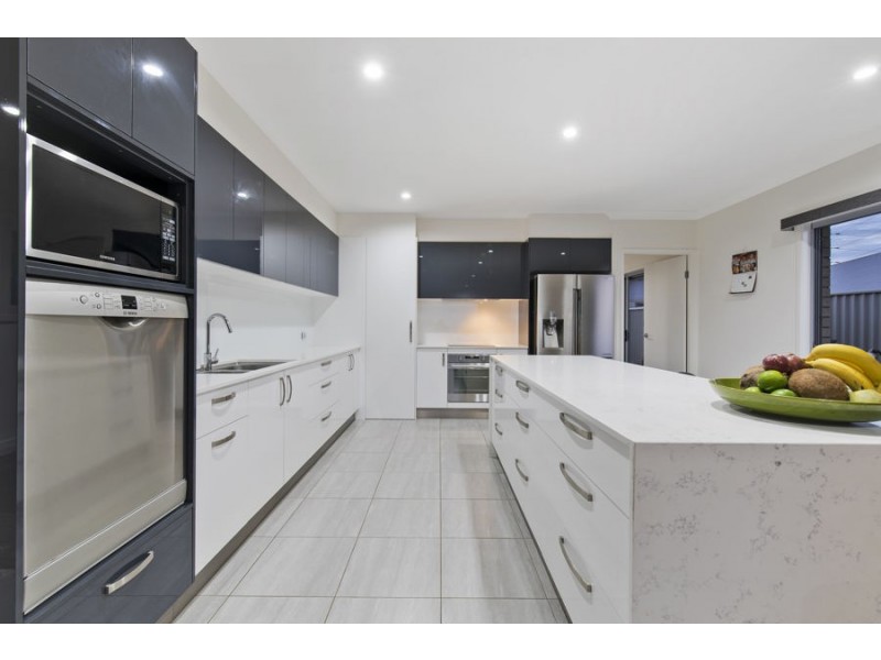 4 Alexander Street, Aroona QLD 4551