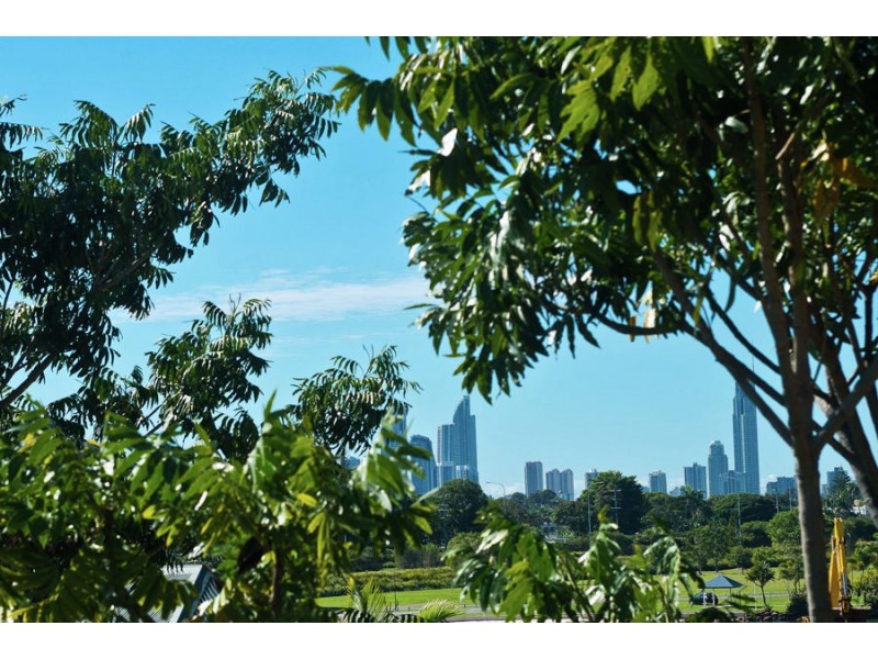 7/3108 The Boulevard, Carrara QLD 4211