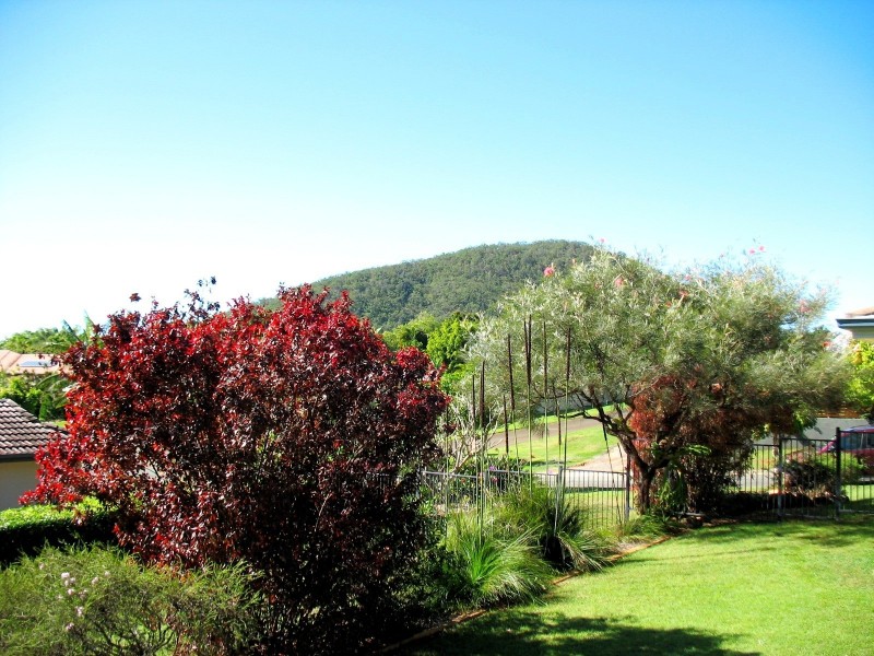 20 TORIANA PL, Beerwah QLD 4519
