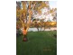2955 Mannum-Purnong Road, Caurnamont SA 5238