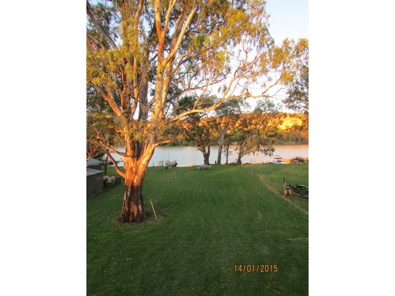 2955 Mannum-Purnong Road, Caurnamont SA 5238
