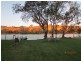 2955 Mannum-Purnong Road, Caurnamont SA 5238