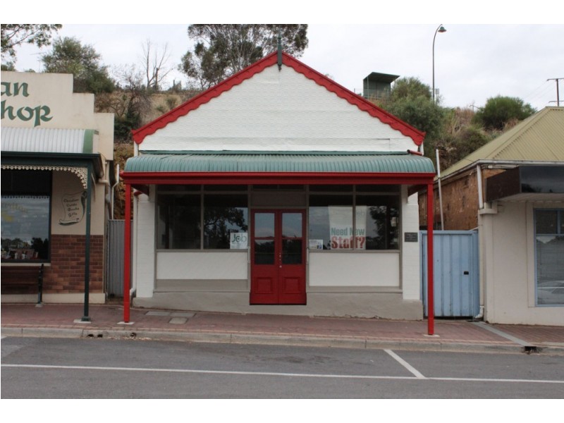 59 Randell Street, Mannum SA 5238