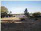 Lots 52 and 53 Purnong Road, Mannum SA 5238
