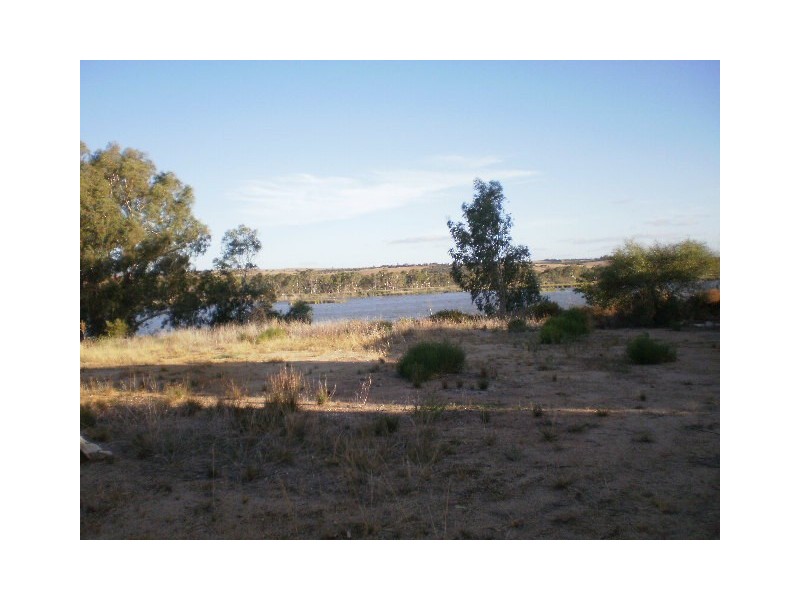 Lots 52 and 53 Purnong Road, Mannum SA 5238