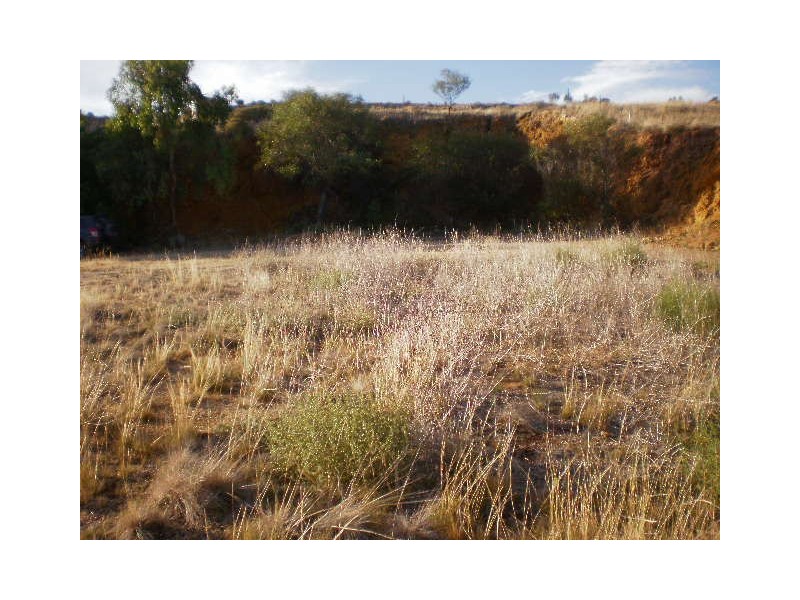 Lots 52 and 53 Purnong Road, Mannum SA 5238