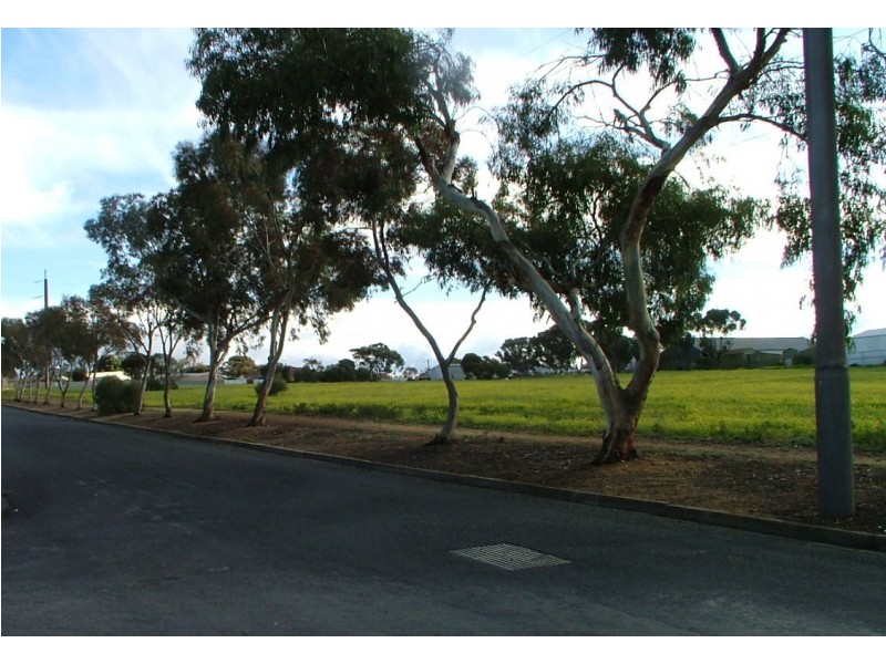 Lot 105 Elizabeth Street, Mannum SA 5238