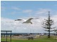 Lot 206 Keen Street, Moonta Bay SA 5558