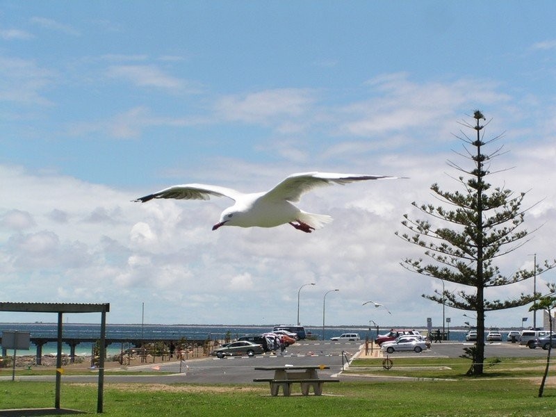 Lot 206 Keen Street, Moonta Bay SA 5558