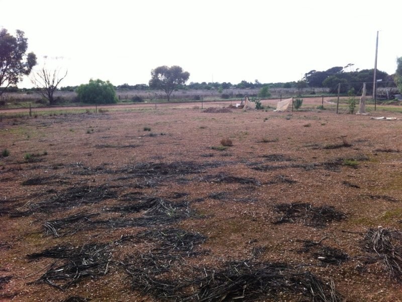 2/96 Moonta Road, Moonta Bay SA 5558