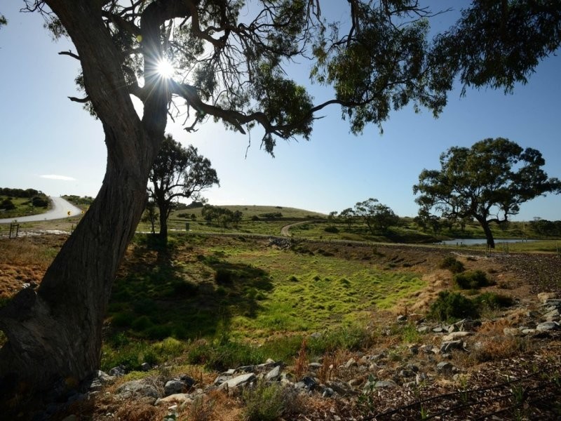 15 Mannum Waters, Mannum SA 5238