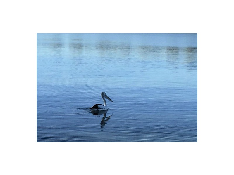 Berth 21 Pelican Drive, Mannum Waters Marina, Mannum SA 5238