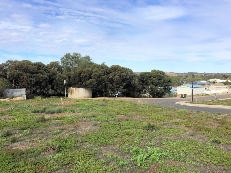 Allotment 14 Preiss Street, Mannum SA 5238