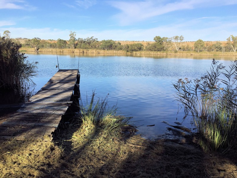 795 Cliffview Drive, Wongulla via, Walker Flat SA 5238