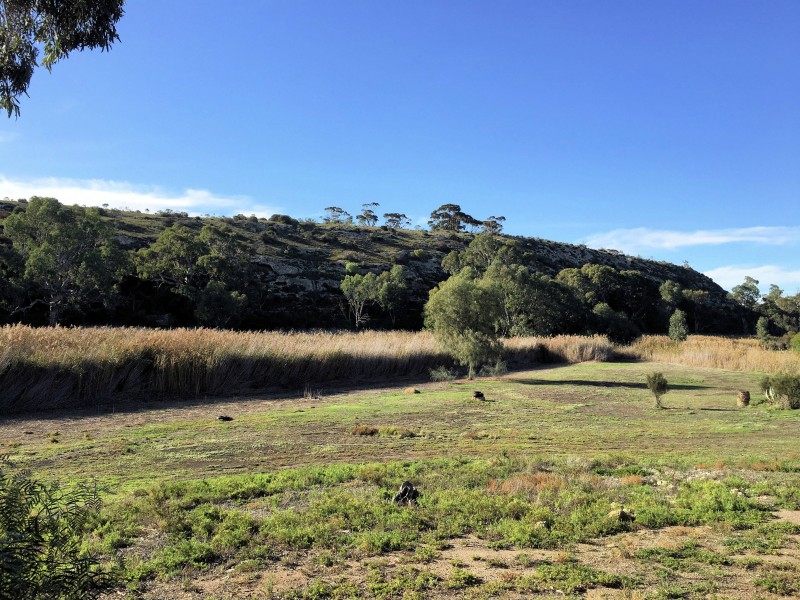 795 Cliffview Drive, Wongulla via, Walker Flat SA 5238