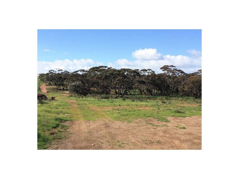 Lot 4 Murray Bridge – Mannum Road, Mannum SA 5238