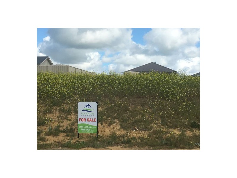 8 Spoonbill Court, Mannum SA 5238