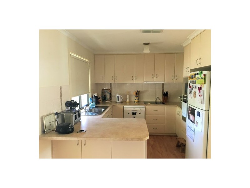 40 Randall Street, Mannum SA 5238
