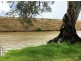 Site 24 South Punyelroo via, Swan Reach SA 5354