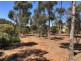 11 Church Street, Palmer SA 5237