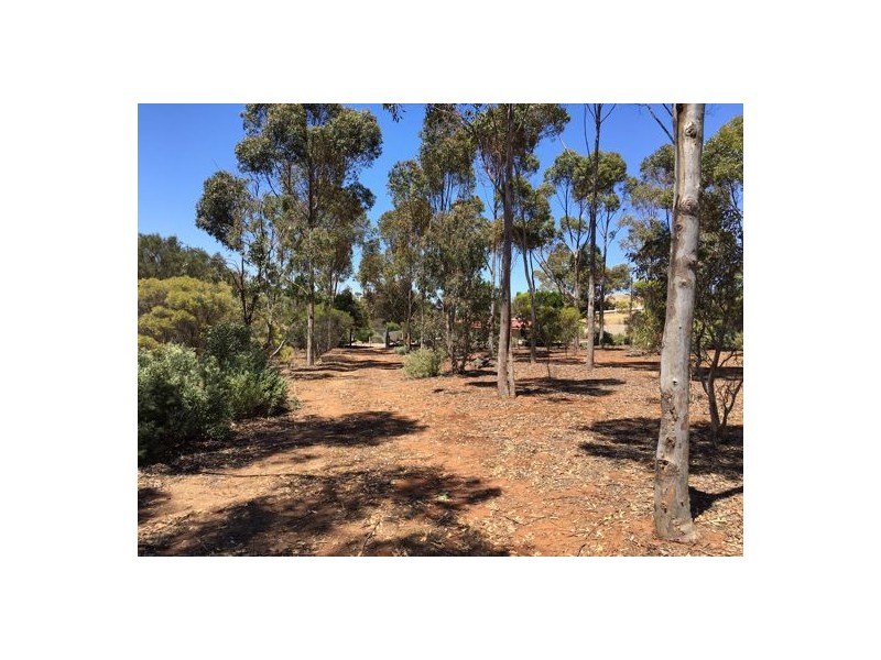 11 Church Street, Palmer SA 5237
