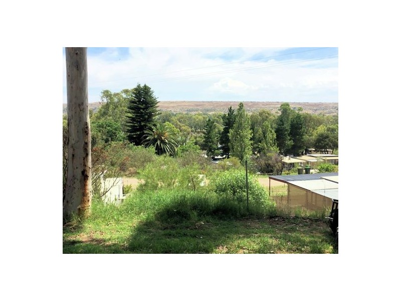 Site 313 Younghusband Caravan Park, Younghusband SA 5238