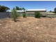3220 Purnong Road, Purnong SA 5238
