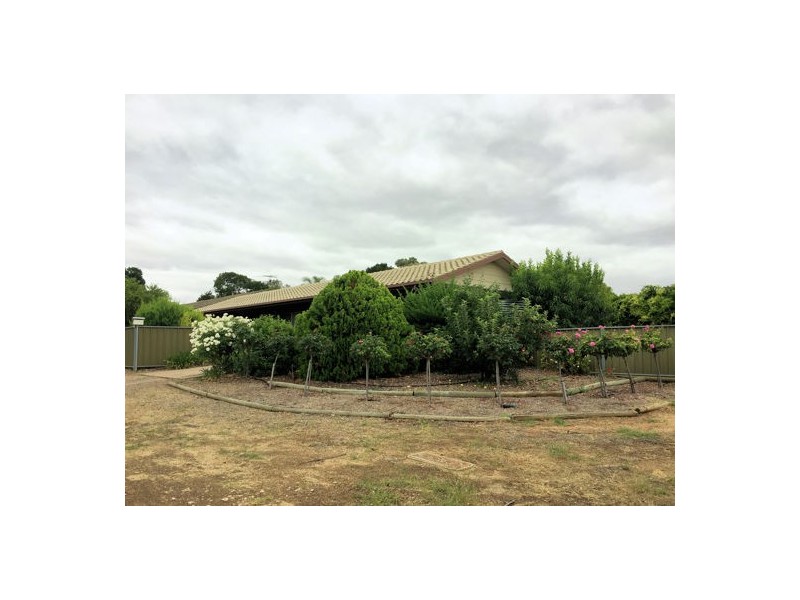 29 Hamilton Street, Mannum SA 5238