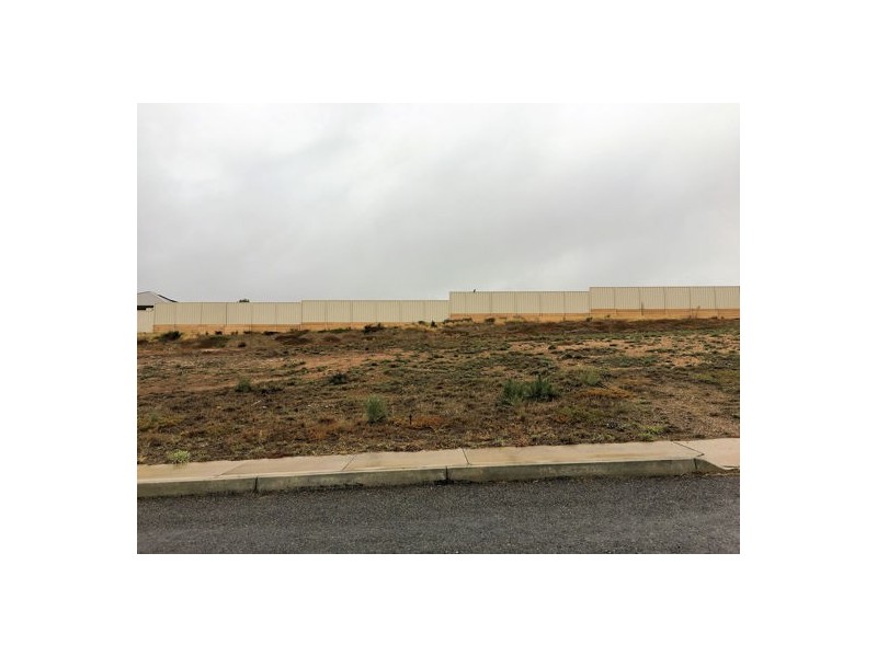 20 Preiss Street, Mannum SA 5238