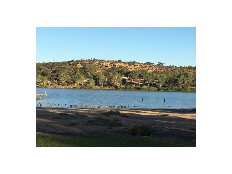 4 Pellaring Lane, Pellaring Flat via, Mannum SA 5238